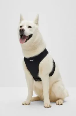 Arnés ajustable para perro con raya de la marca