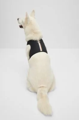 Arnés ajustable para perro con raya de la marca