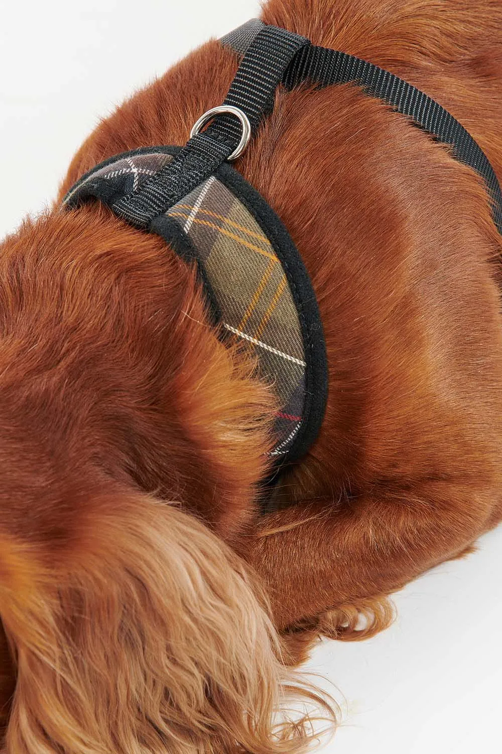 Barbour Arnés Perro Tartan