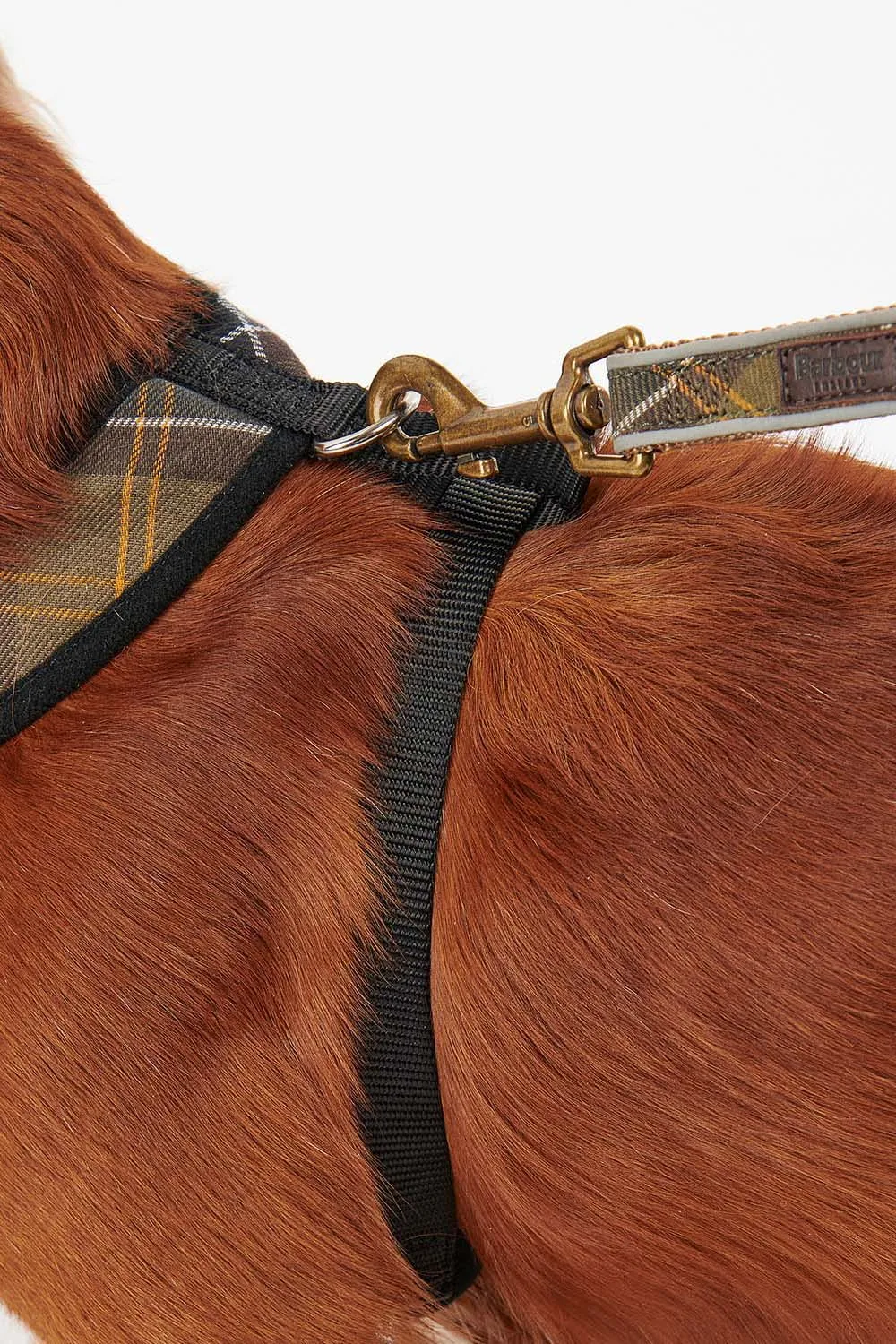 Barbour Arnés Perro Tartan