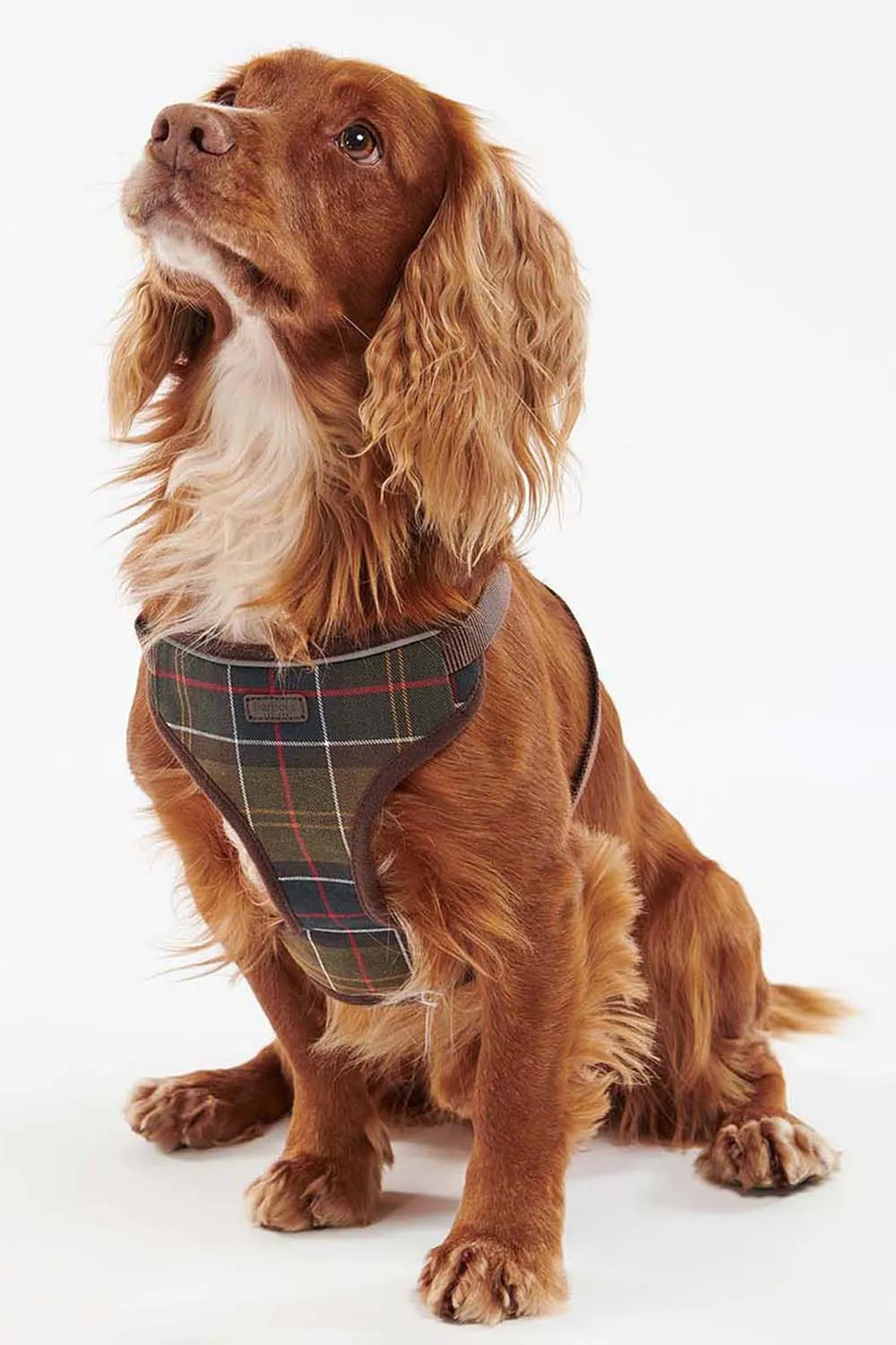 Barbour Arnés Perro Travel & Exercise