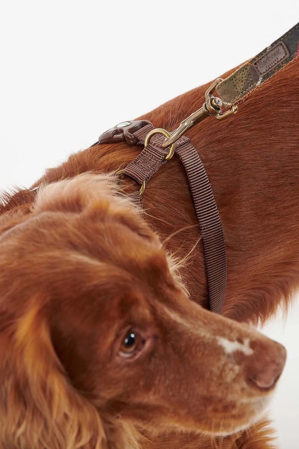 Barbour Arnés Perro Travel & Exercise