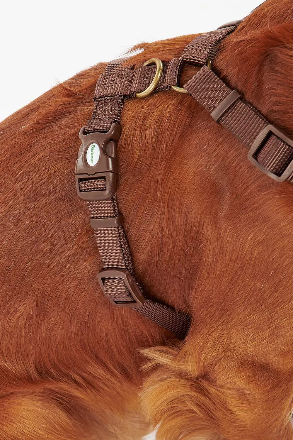 Barbour Arnés Perro Travel & Exercise