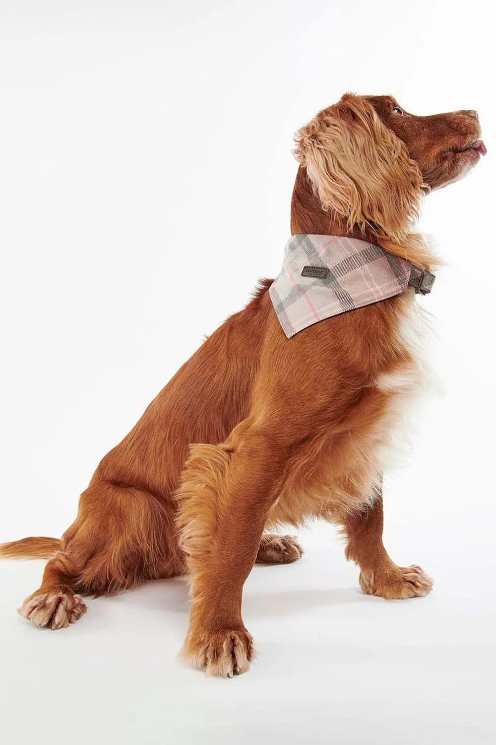 Barbour Bandana Perro Tartan