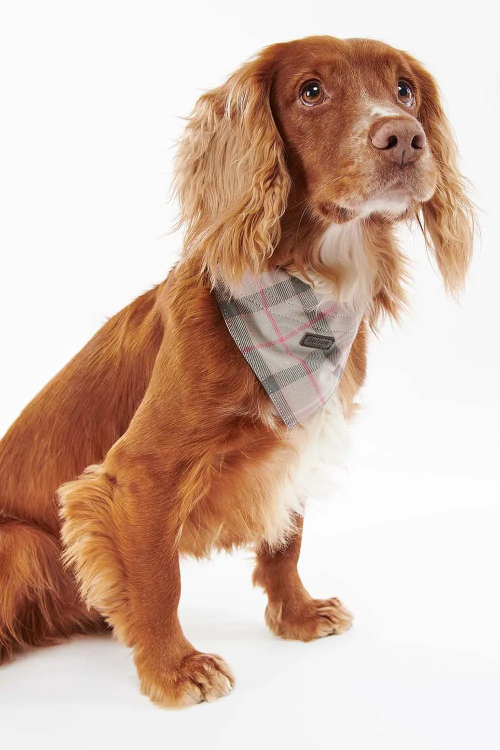 Barbour Bandana Perro Tartan