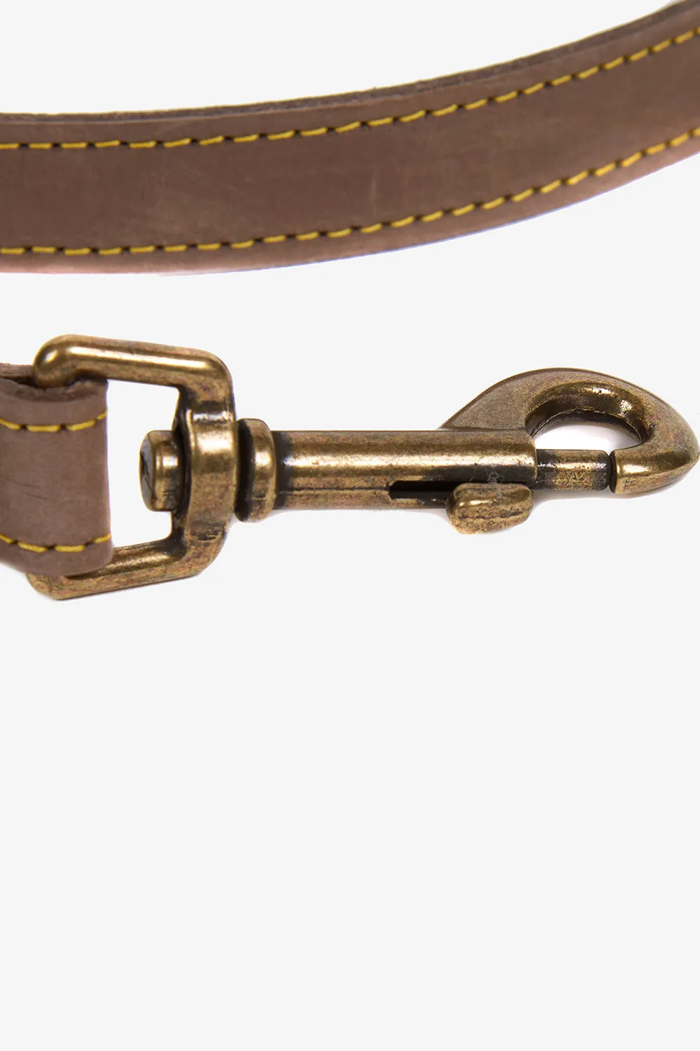 Barbour Correa Perro Leather
