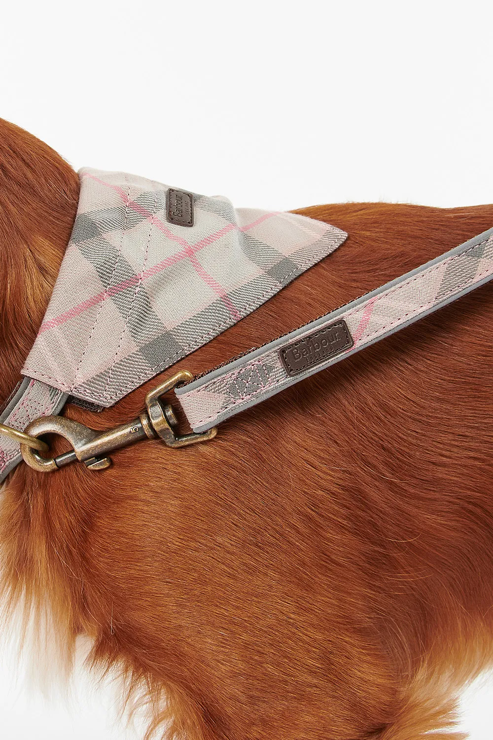 Barbour Correa Perro Reflective Tartan