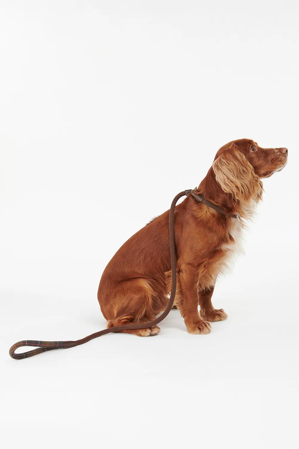 Barbour Correa Perro Tartan Trimmed