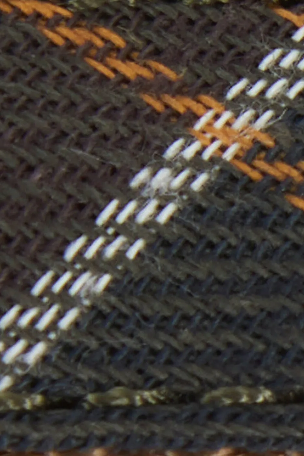 Barbour Correa Perro Tartan Webbing