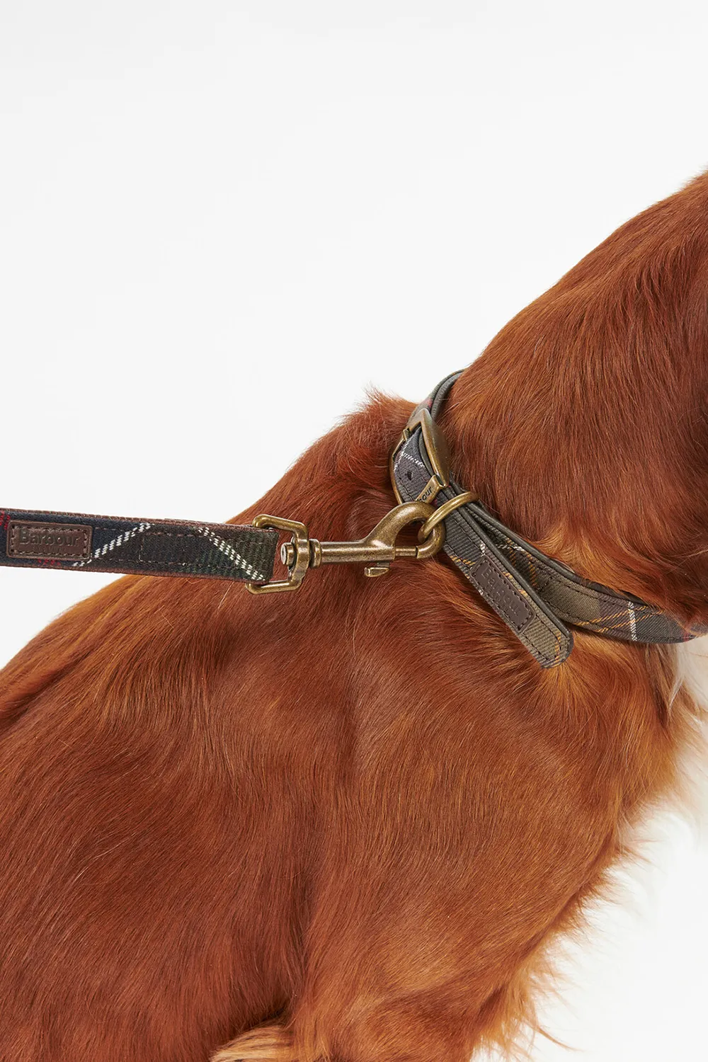 Barbour Correa Perro Tartan