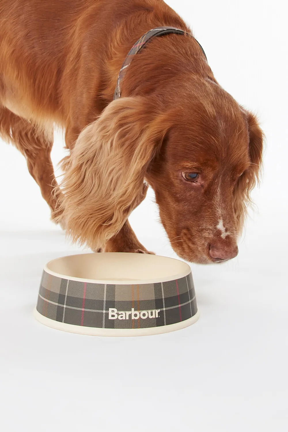 Barbour Plato Perro Tartan