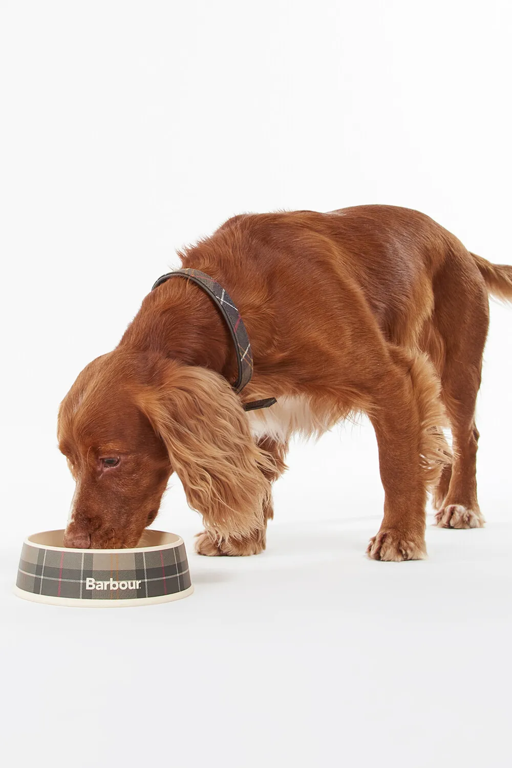 Barbour Plato Perro Tartan