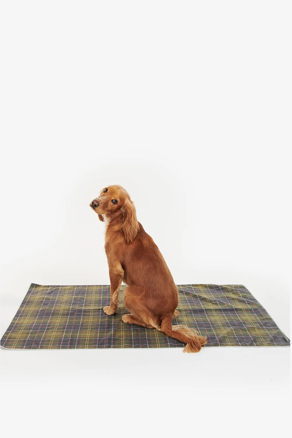 Barbour Toalla Perro Tartan Quick Dry