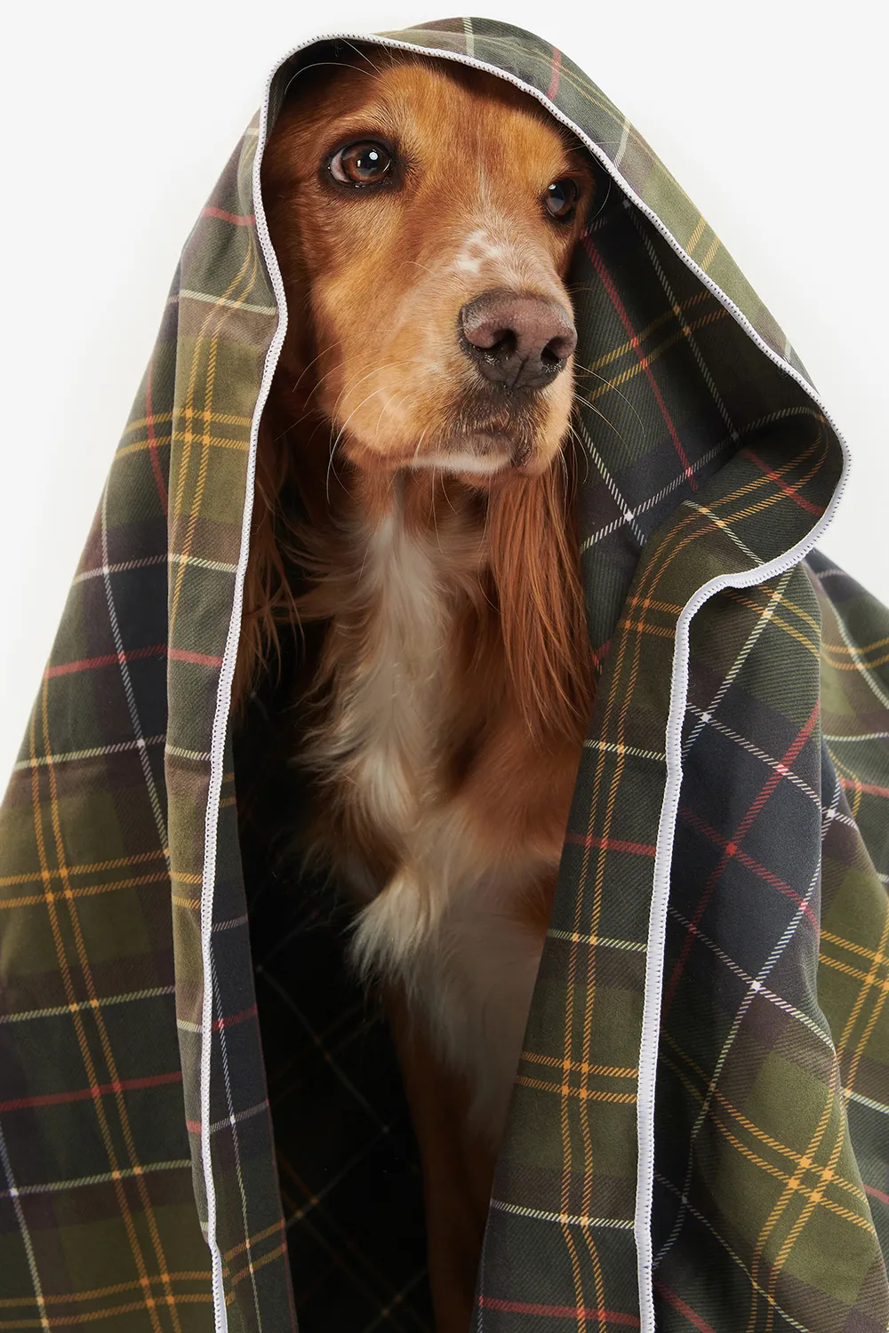Barbour Toalla Perro Tartan Quick Dry