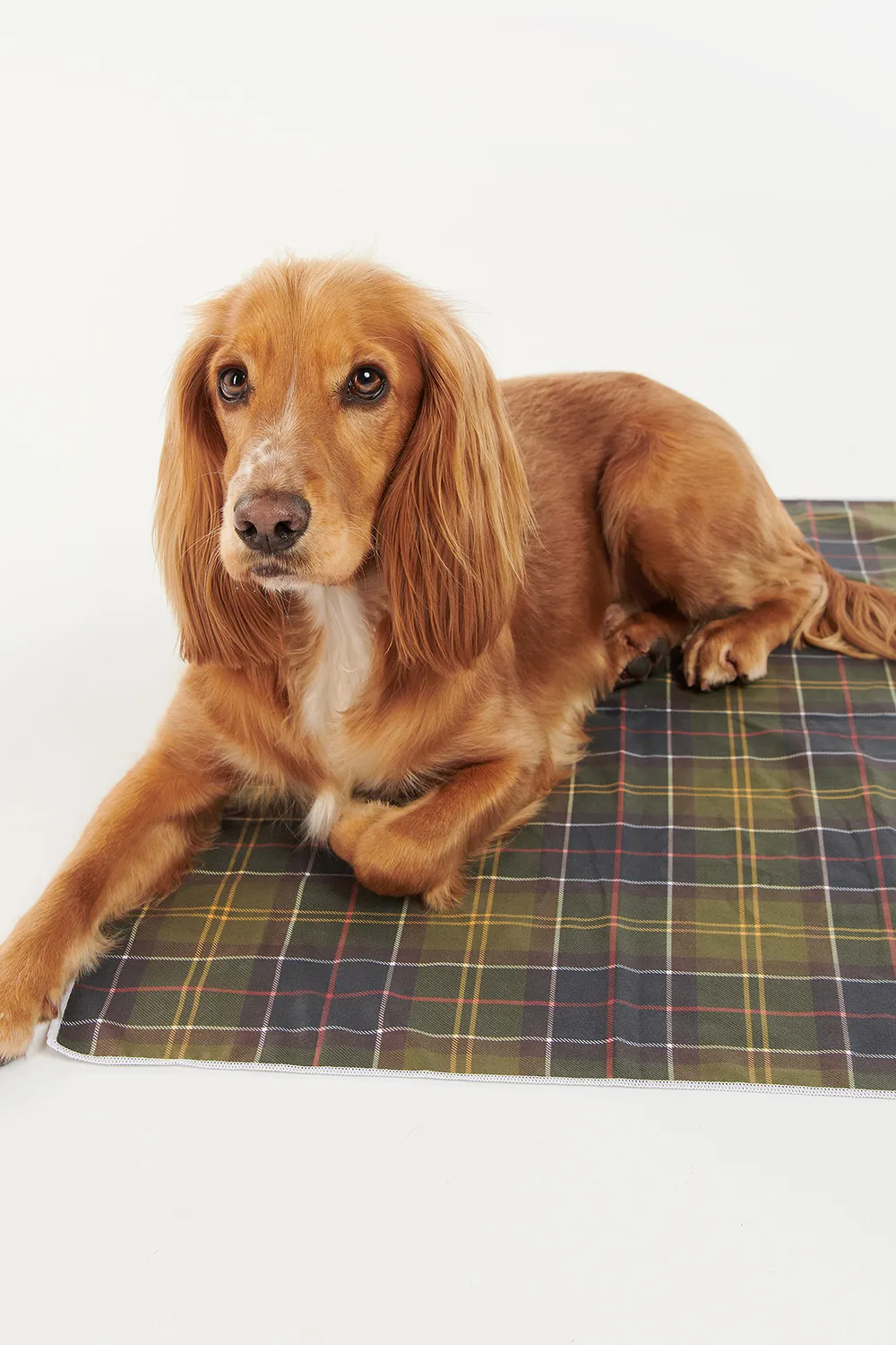 Barbour Toalla Perro Tartan Quick Dry