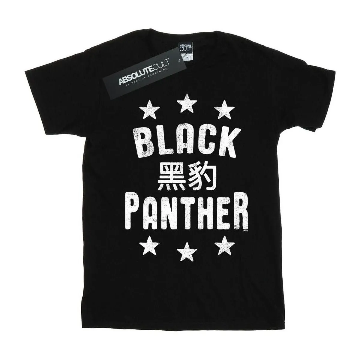 Black Panther Legends