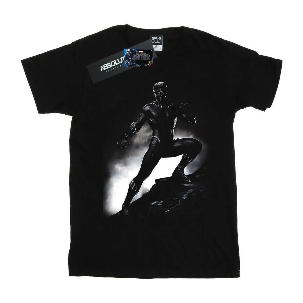 Black Panther Standing Pose
