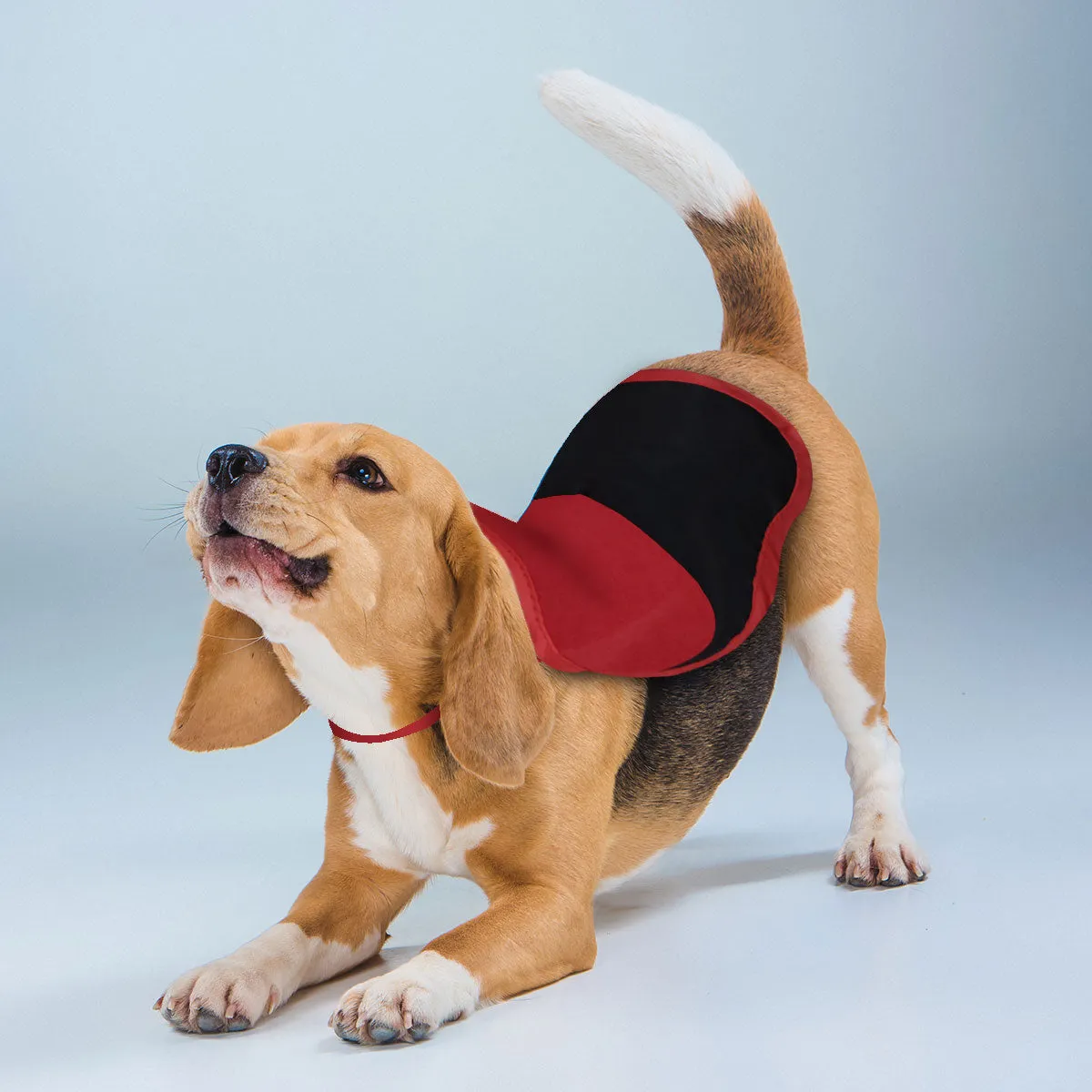 Capa para Disfraz de Mascota