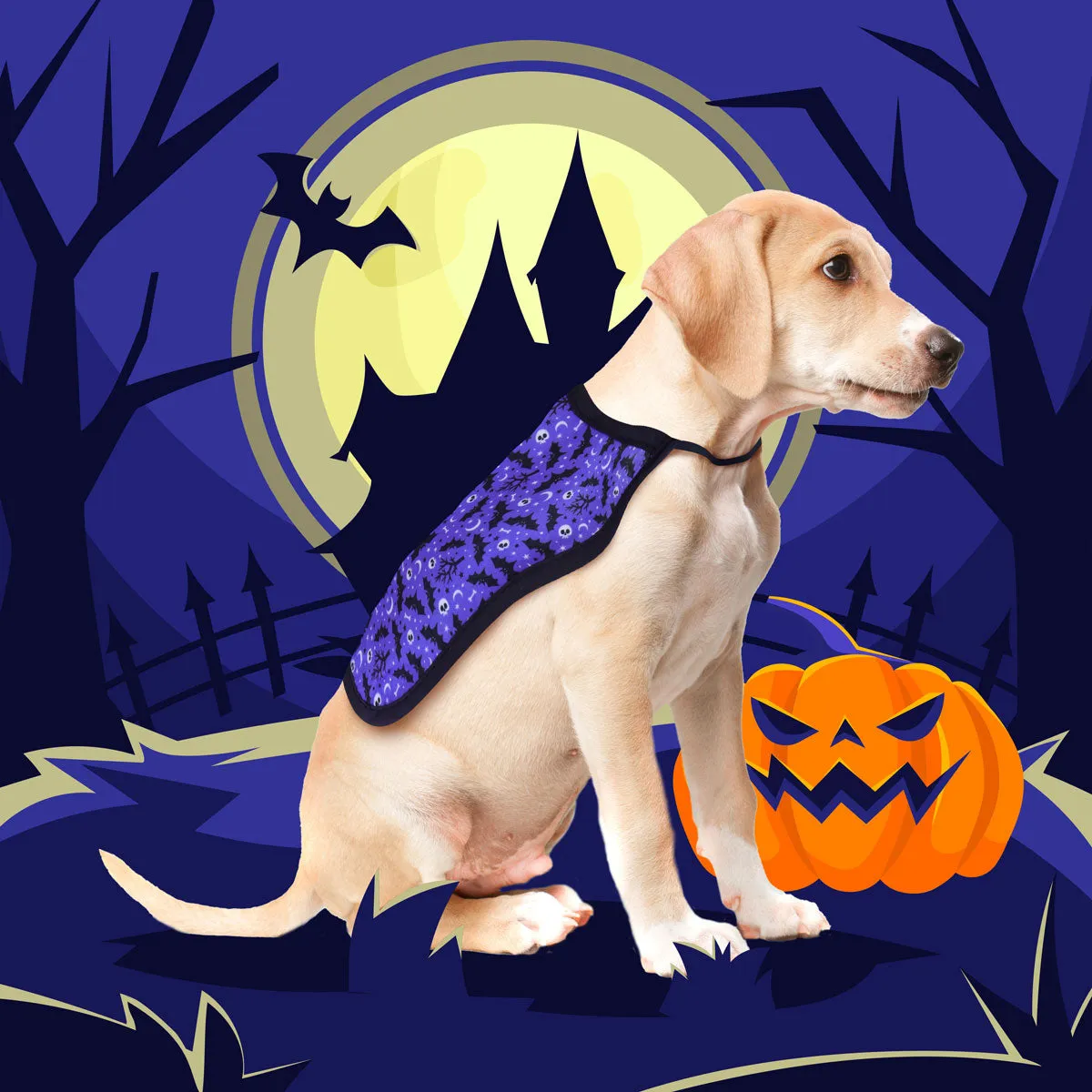 Capa para mascota color Azul con Diseo de Halloween