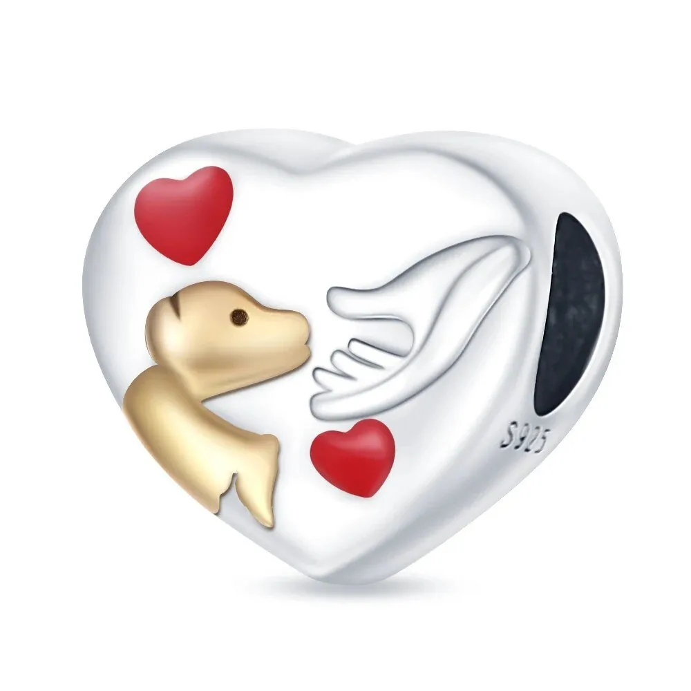 Charm Amor Perro