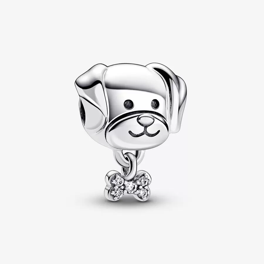 Charm Mascota Perro y Hueso  792254C01