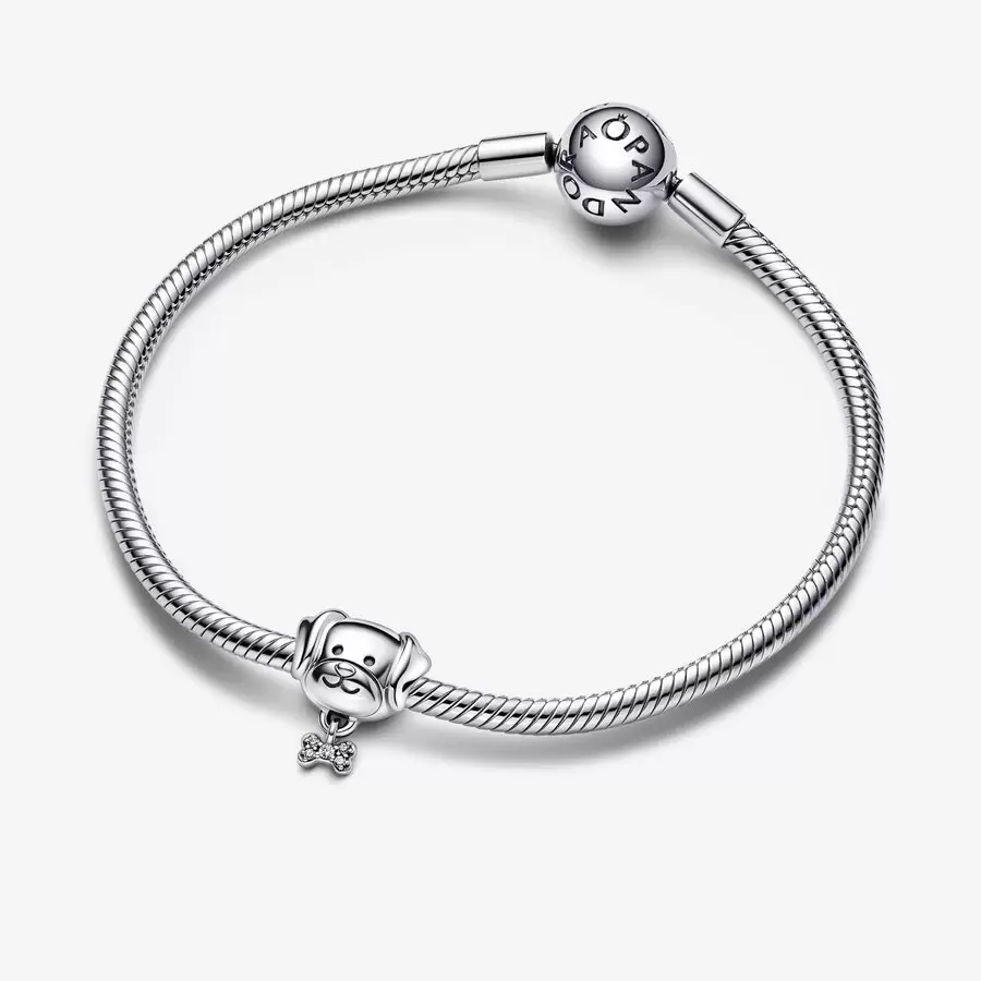 Charm Mascota Perro y Hueso  792254C01