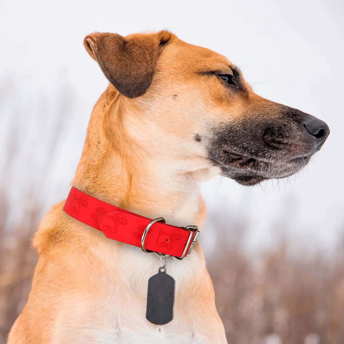 Collar color Rojo con Diseo de Perritos para Mascota