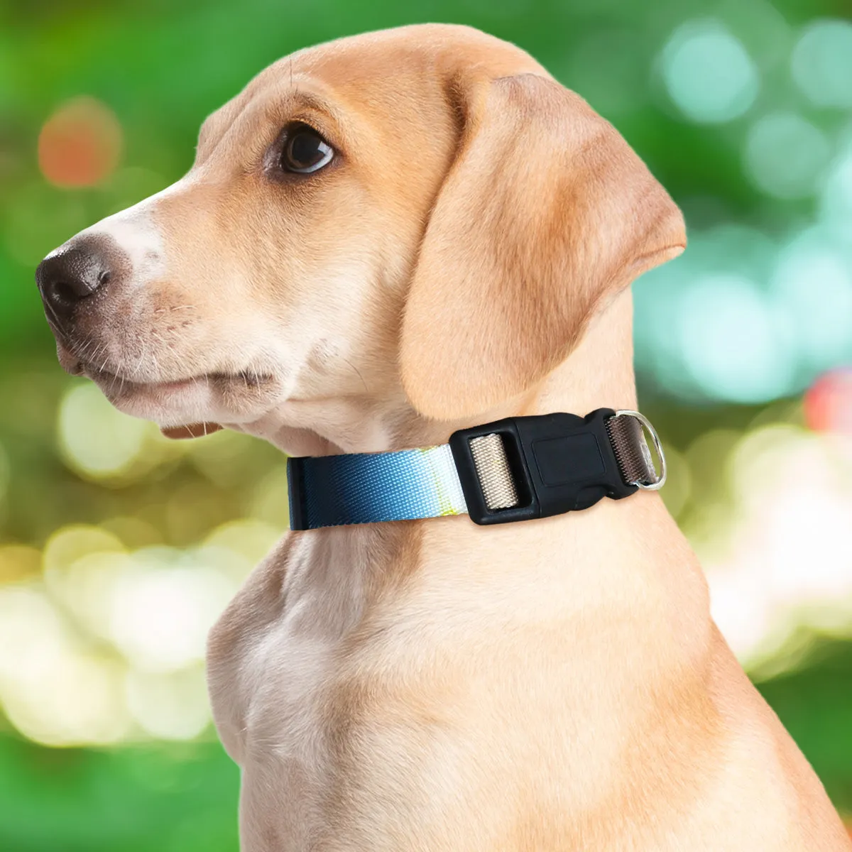 Collar con Diseo Ajustable color Azul con Café para Mascota