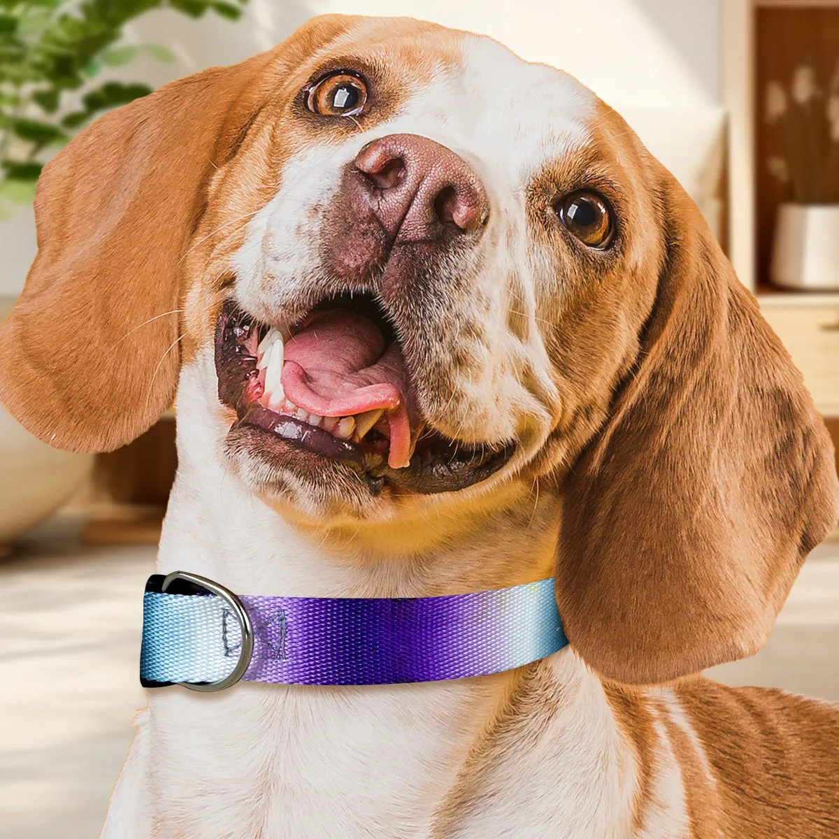 Collar con Diseo Ajustable color Morado para Mascota