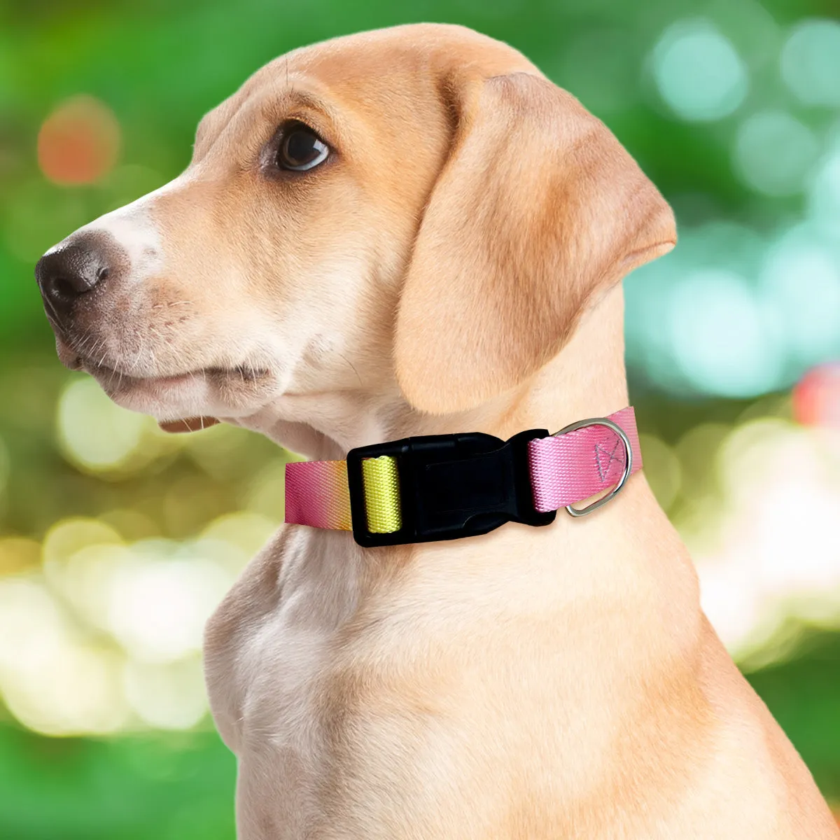 Collar con Diseo Ajustable color Rosa para Mascota