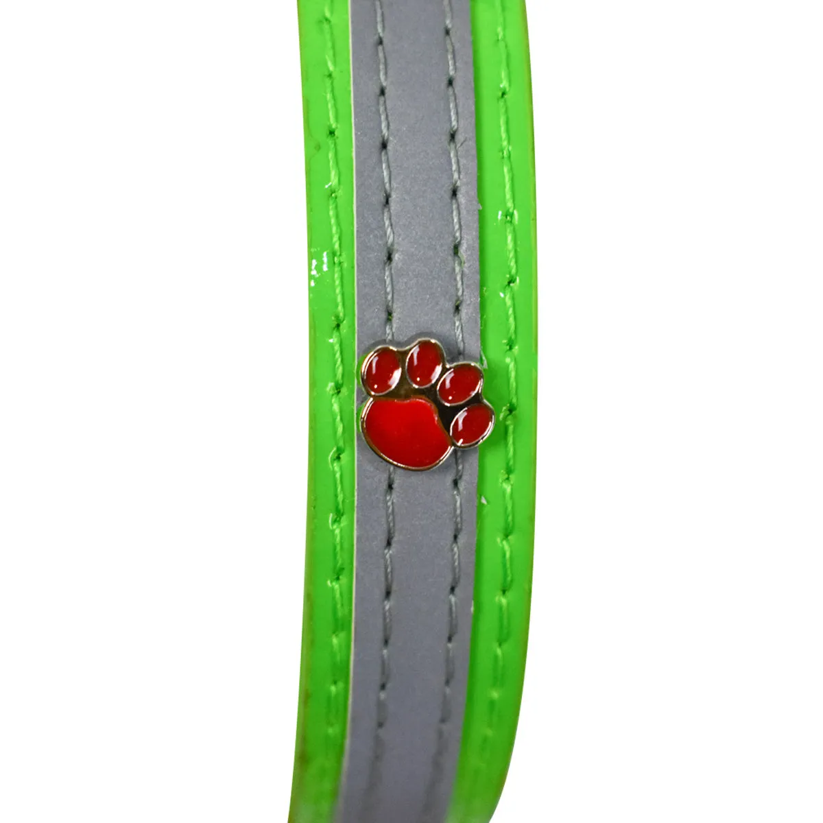 Collar para Mascota