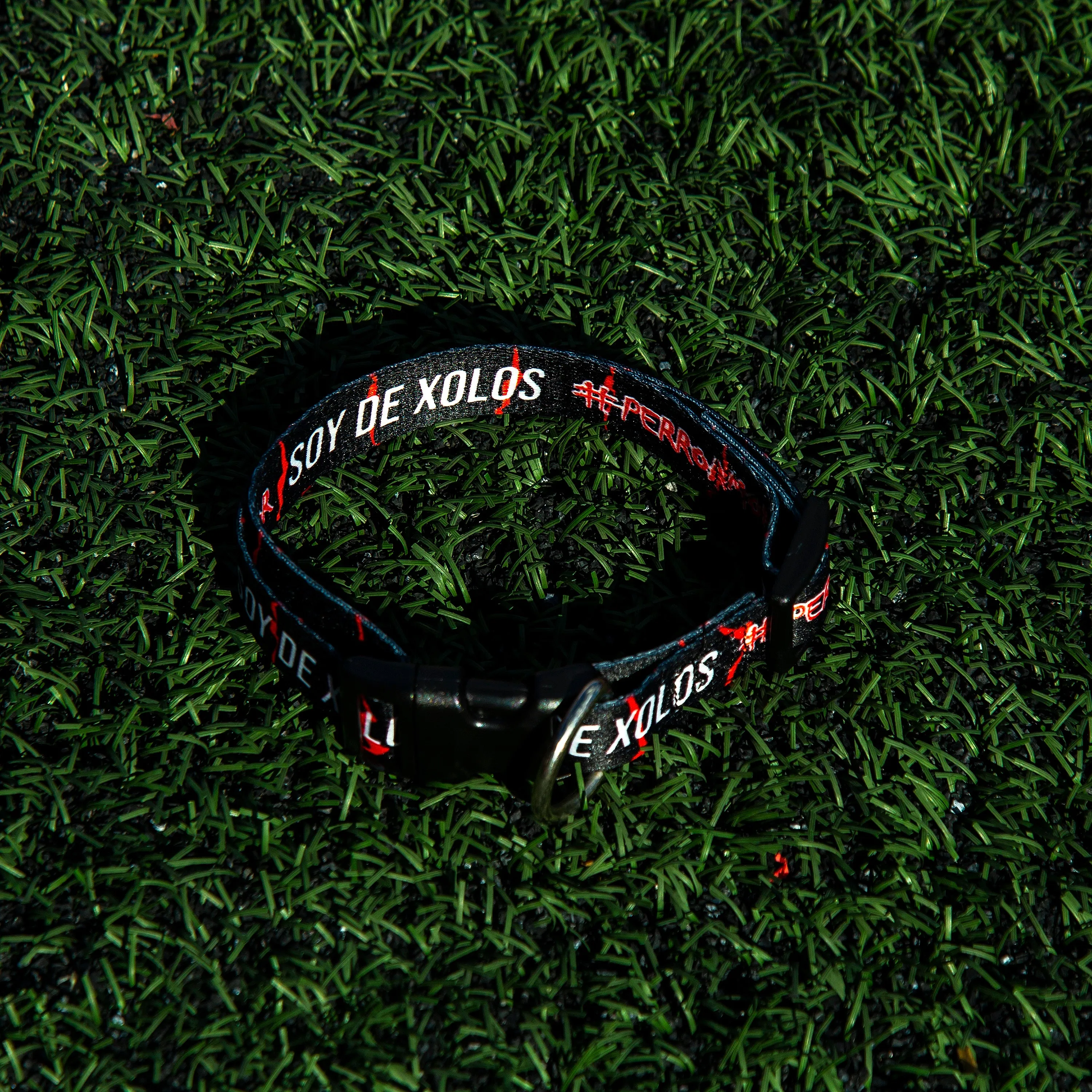 COLLAR PARA PERRO PUR #PERRO AMOR