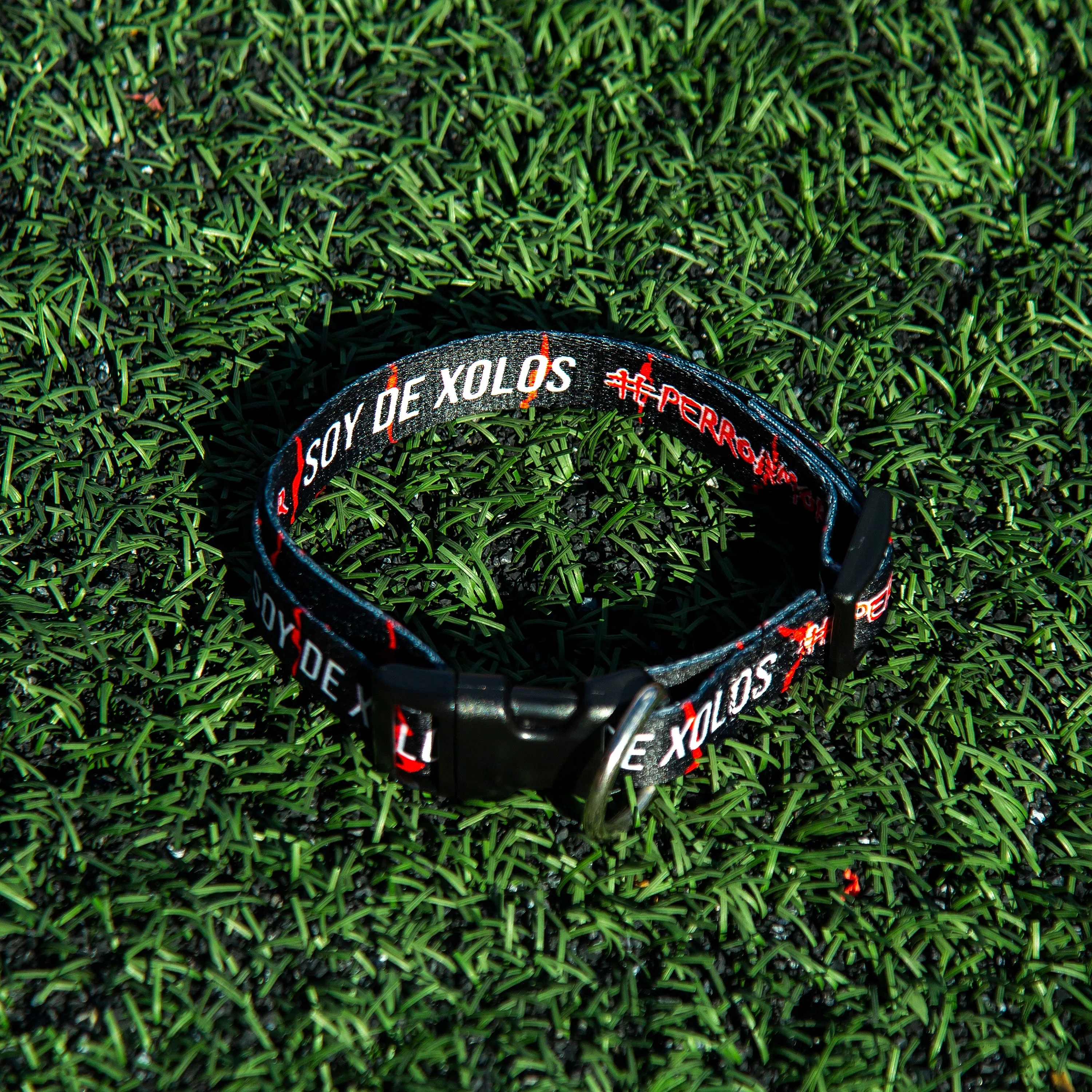 COLLAR PARA PERRO PUR #PERRO AMOR