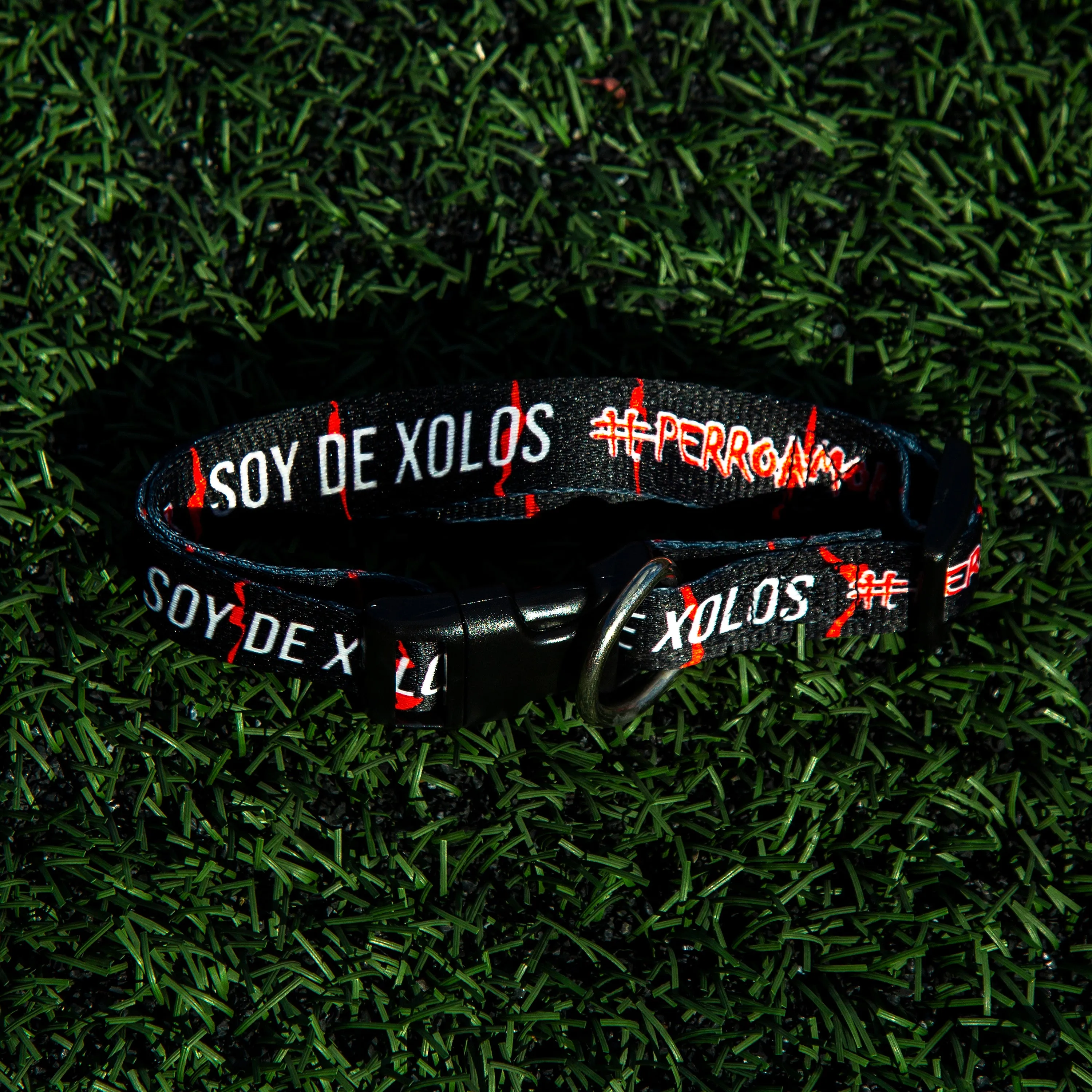 COLLAR PARA PERRO PUR #PERRO AMOR