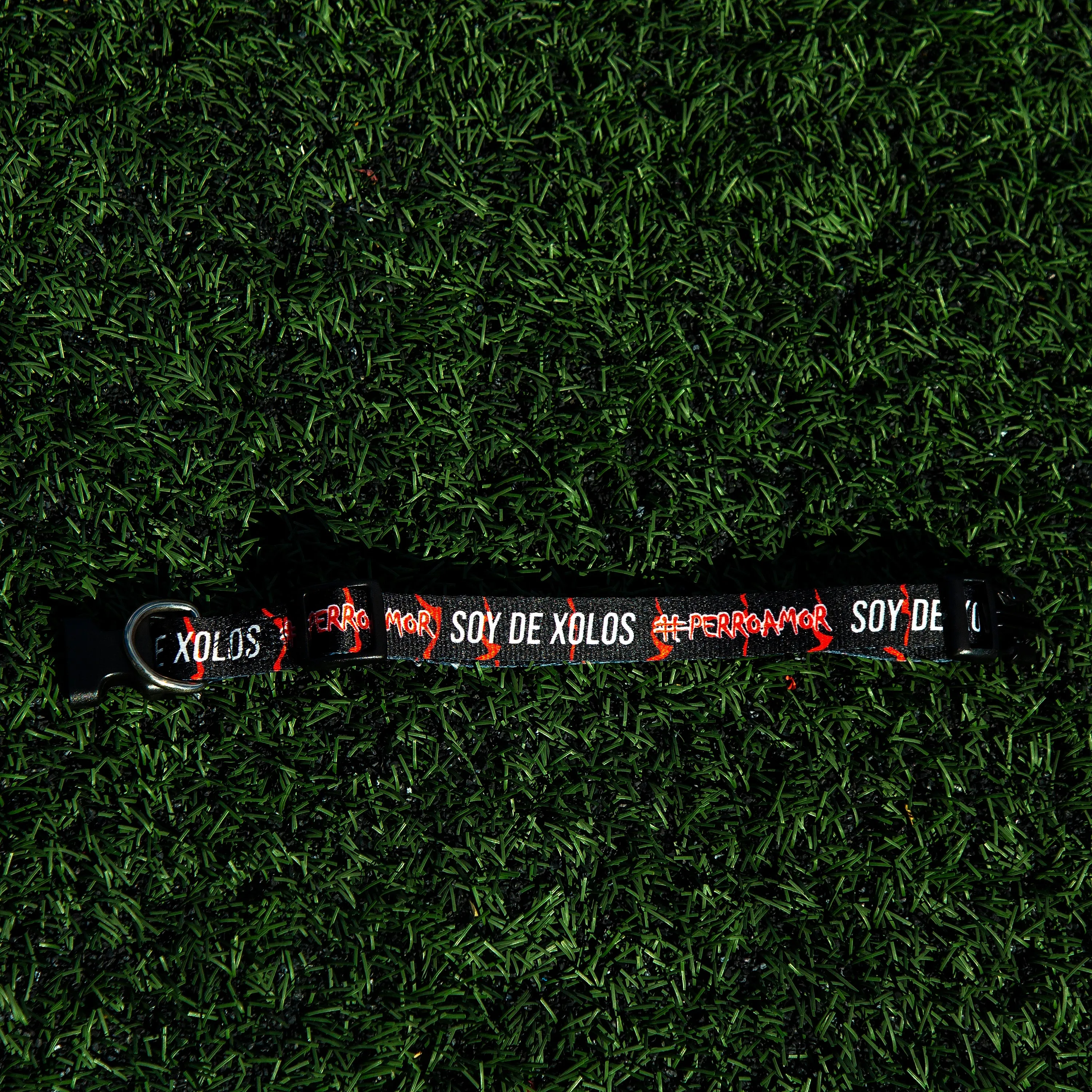 COLLAR PARA PERRO PUR #PERRO AMOR