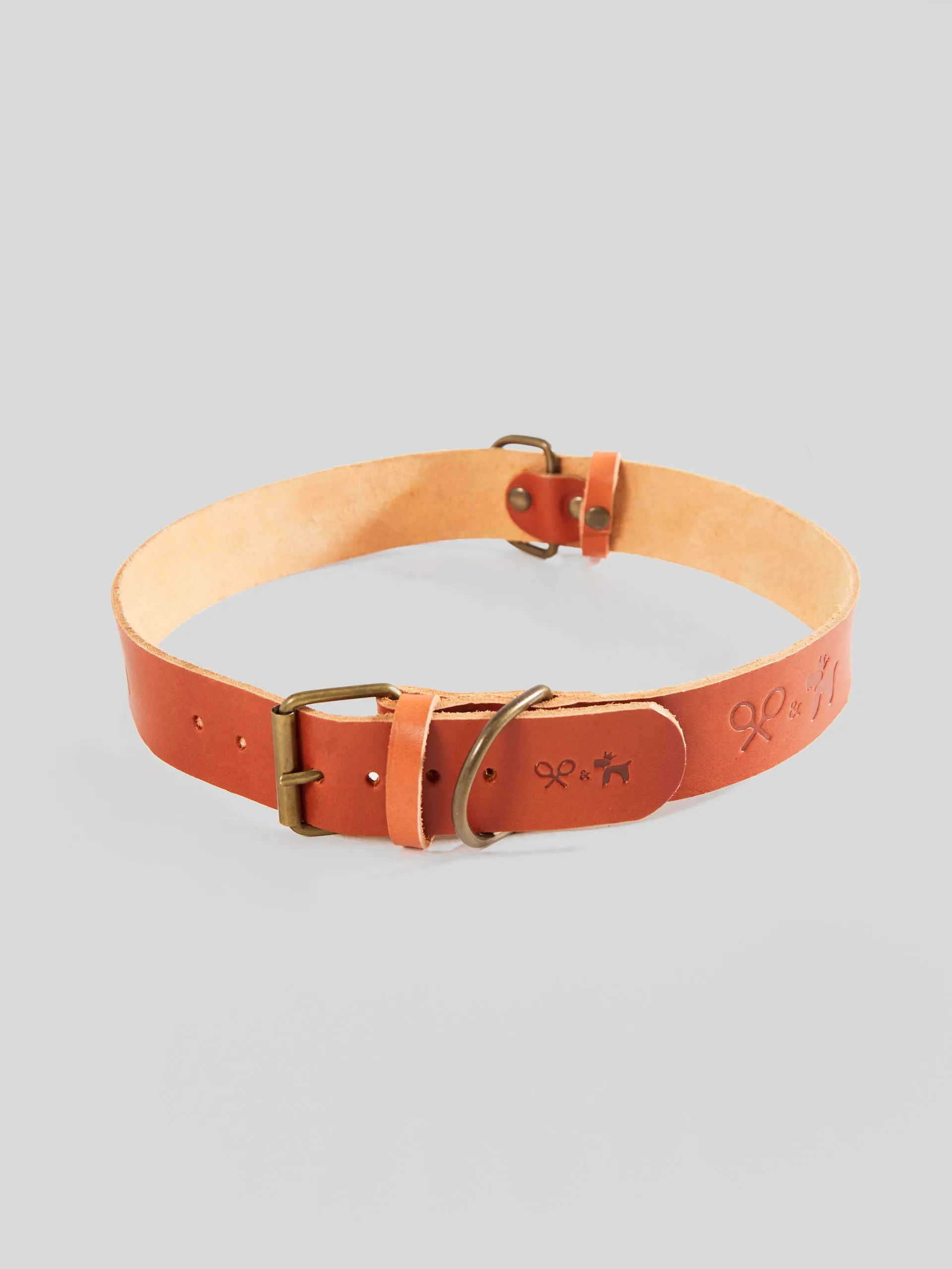 Collar perro SILBONxLADRANGAUCHO cuero