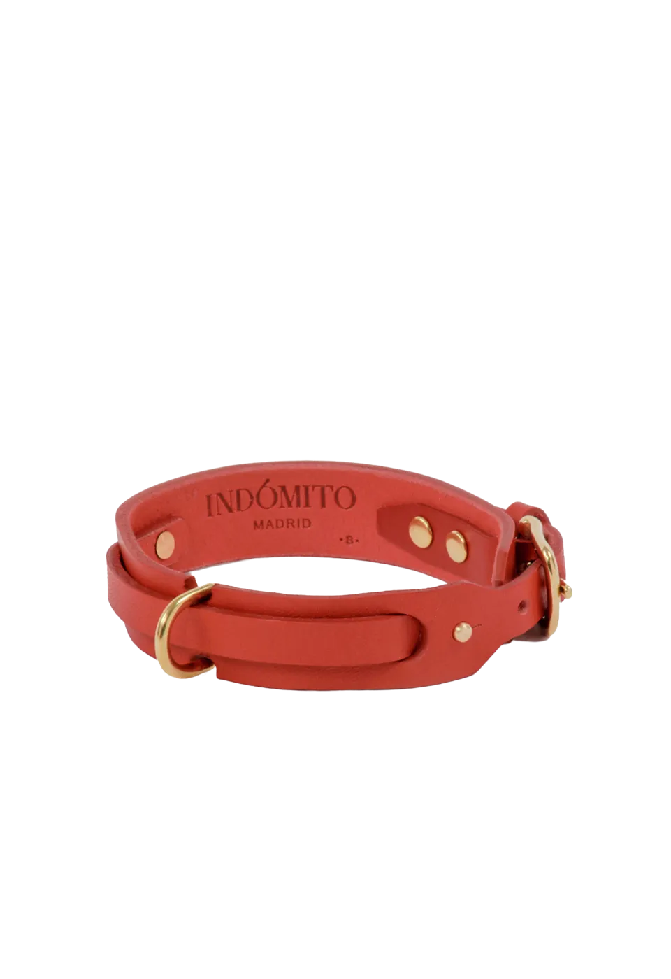 Collar Perro