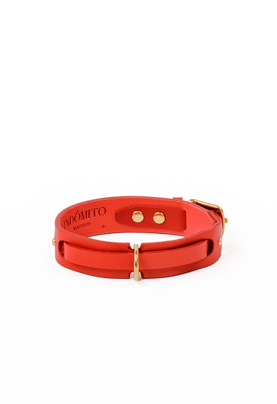 Collar Perro
