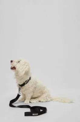 Correa de perro con detalle de logotipo en jacquard