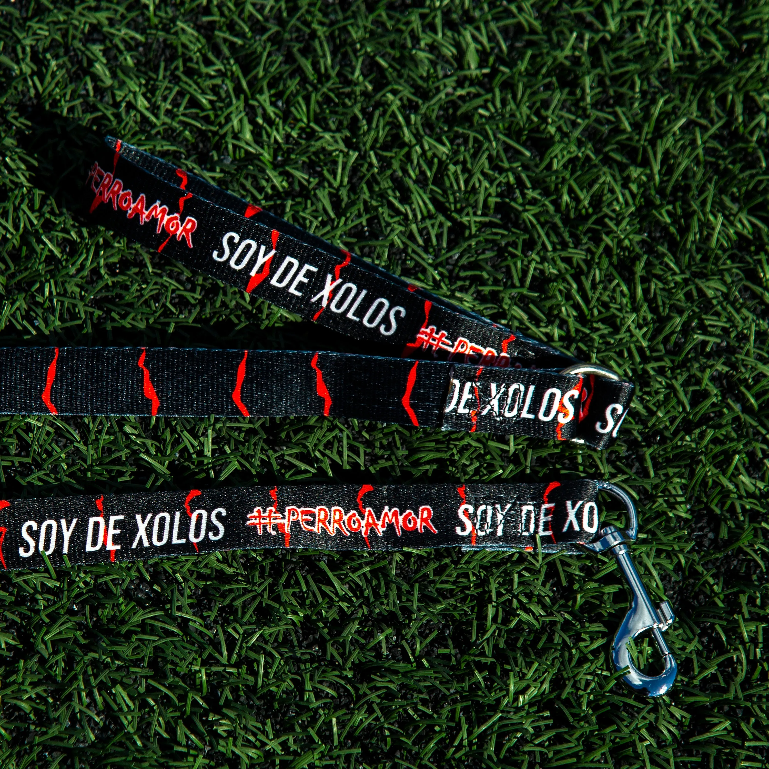 CORREA PARA PERRO PUR #PERRO AMOR