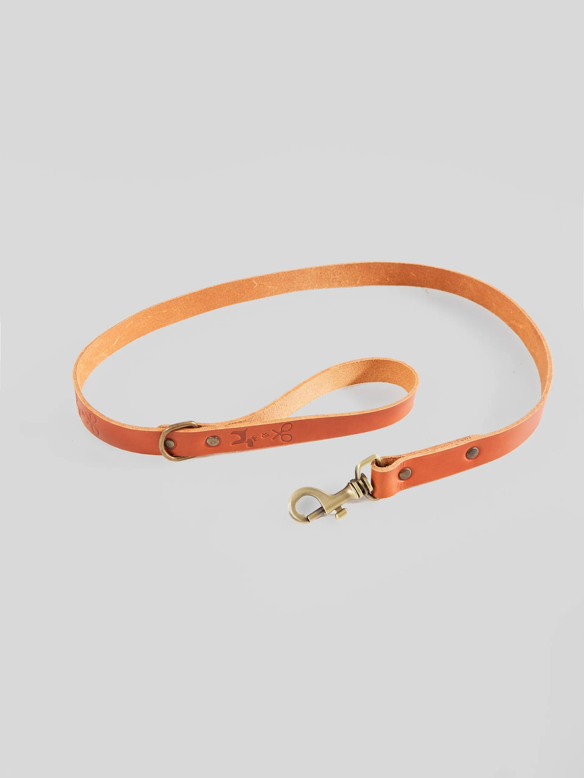 Correa perro SILBONxLADRANGAUCHO cuero