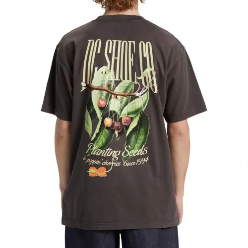 DC Shoes Seed Planter Tee Black Enzyme Wash