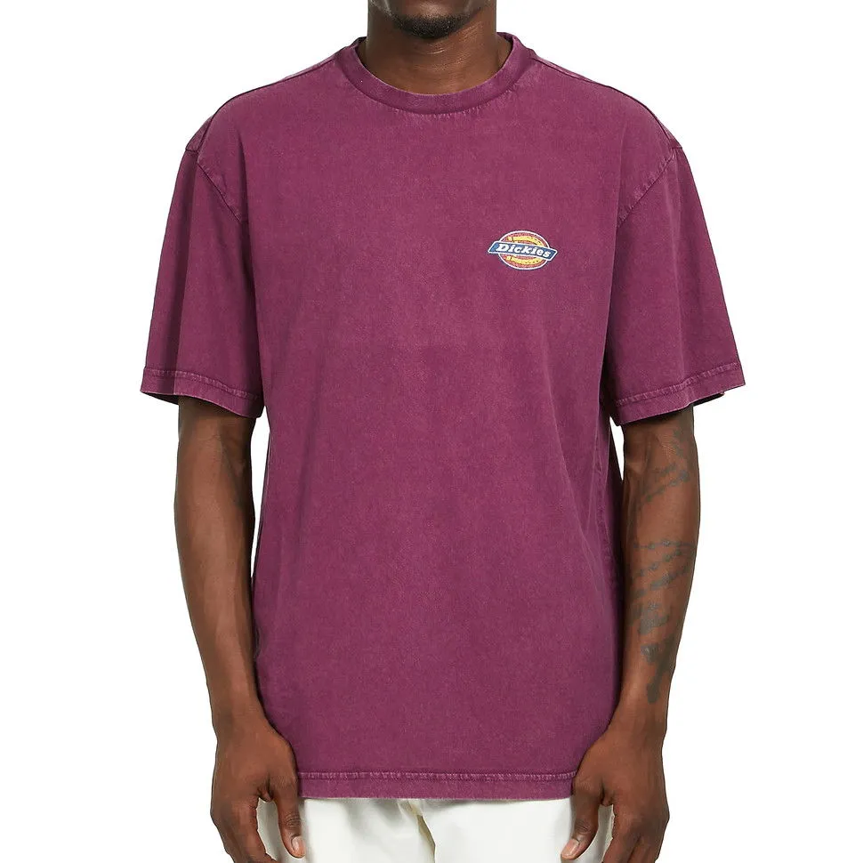 Dickies Icon Washed Tee