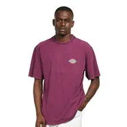 Dickies Icon Washed Tee