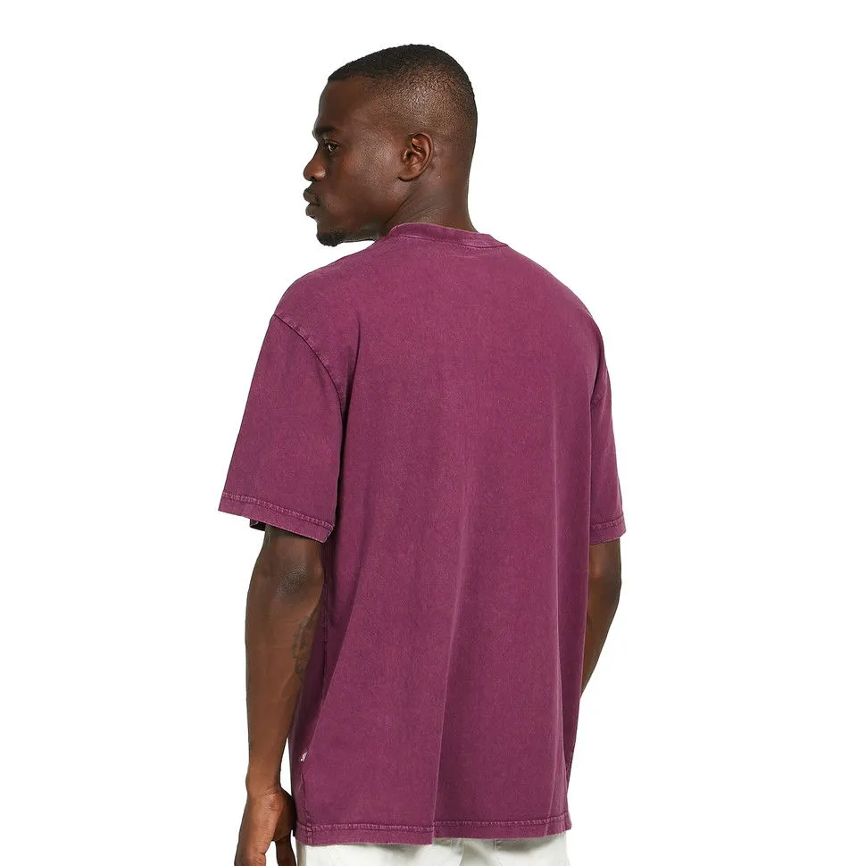 Dickies Icon Washed Tee