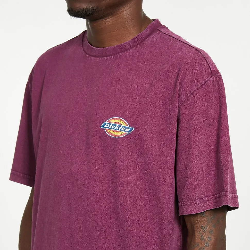 Dickies Icon Washed Tee