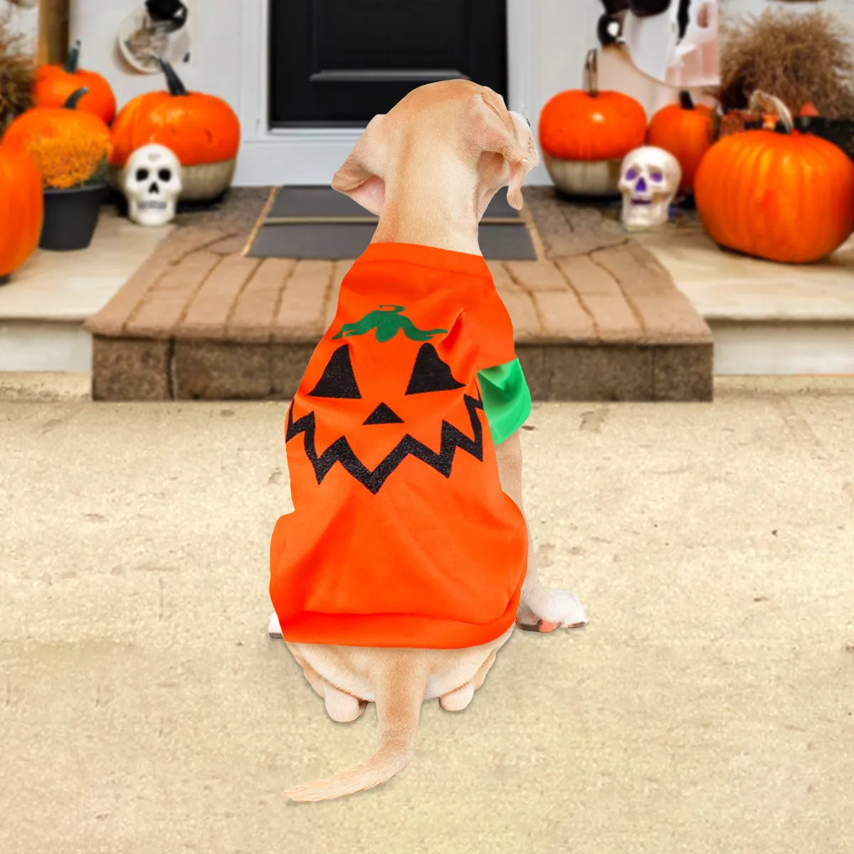 Disfraz con Diseo de Calabaza para Mascota