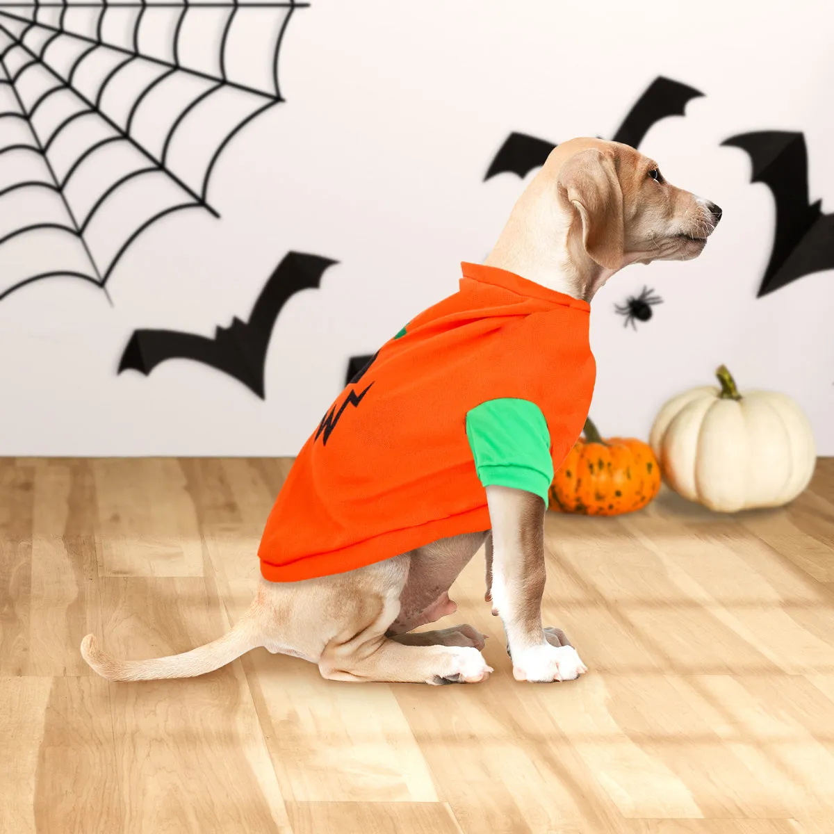 Disfraz con Diseo de Calabaza para Mascota
