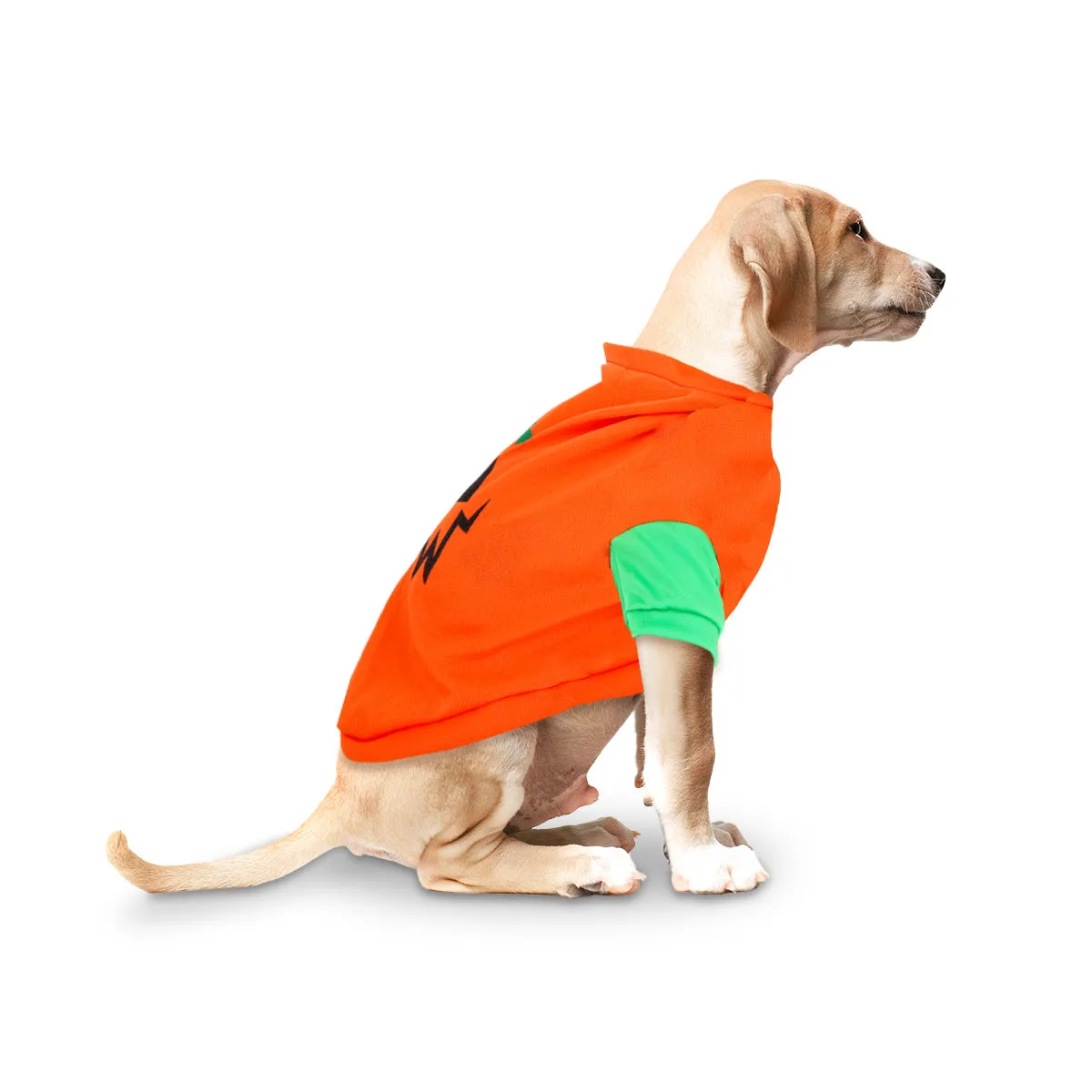 Disfraz con Diseo de Calabaza para Mascota