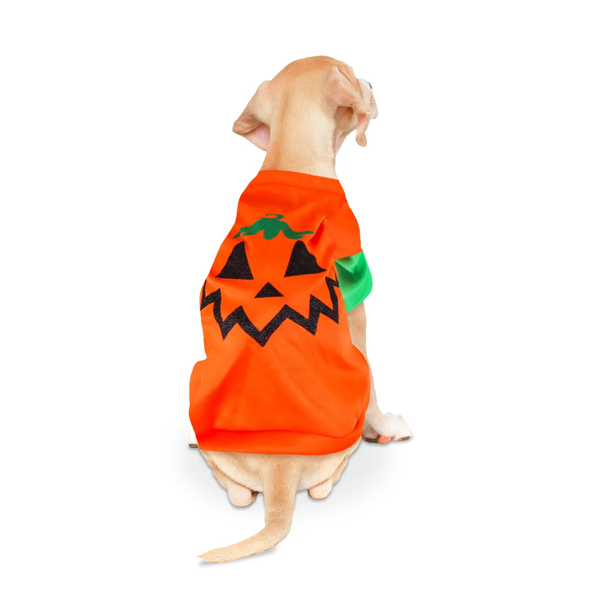 Disfraz con Diseo de Calabaza para Mascota